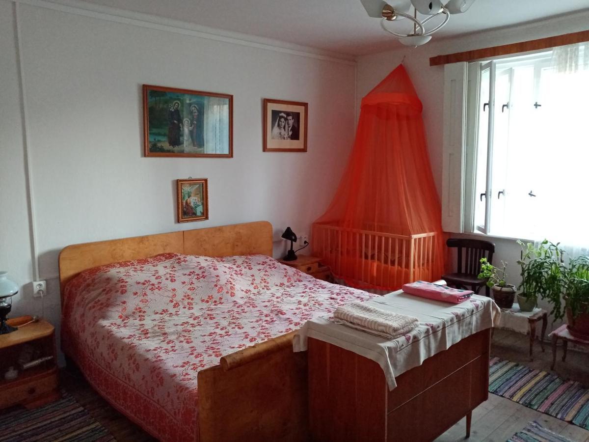 Maison d'hôtes Vinyl House à Strekov Extérieur photo