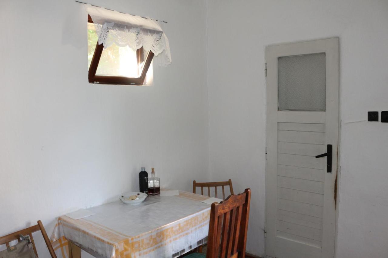 Maison d'hôtes Vinyl House à Strekov Extérieur photo